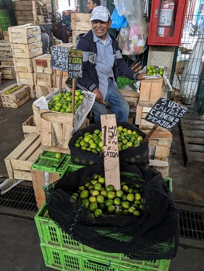 Peru - Wholesale Market Tour 3