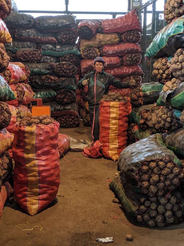 Peru - Wholesale Market Tour 4