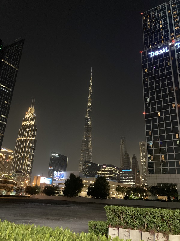 Night View of Dubai