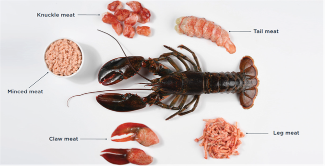 Lobster Labels